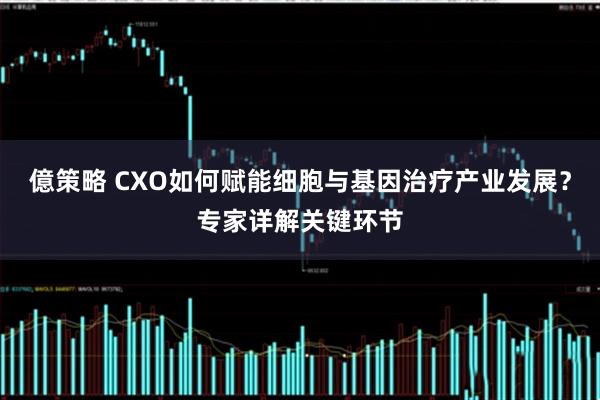 億策略 CXO如何赋能细胞与基因治疗产业发展？专家详解关键环节