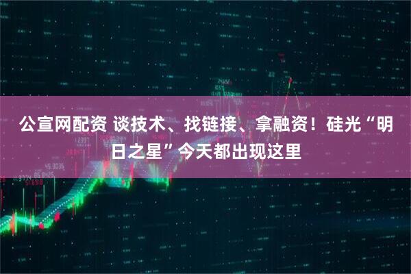 公宣网配资 谈技术、找链接、拿融资！硅光“明日之星”今天都出现这里