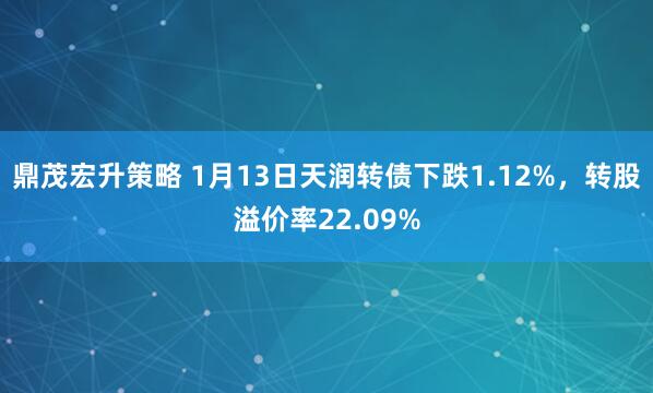 鼎茂宏升策略 1月13日天润转债下跌1.12%，转股溢价率22.09%